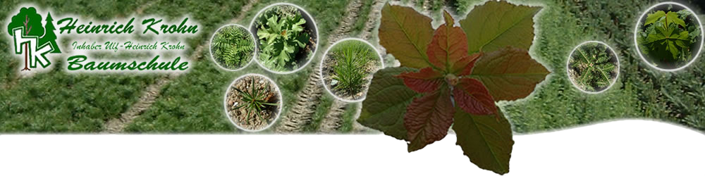 Baumschulen Heinrich Krohn